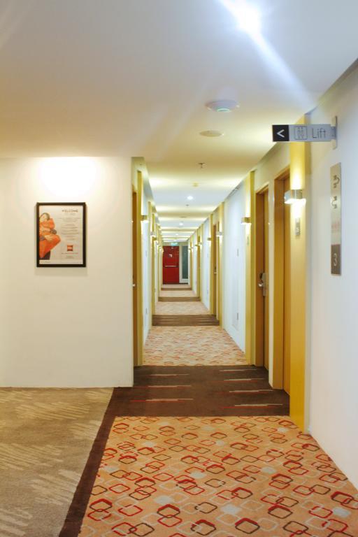 Ibis Pasteur